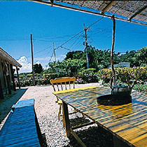 沖縄の庭